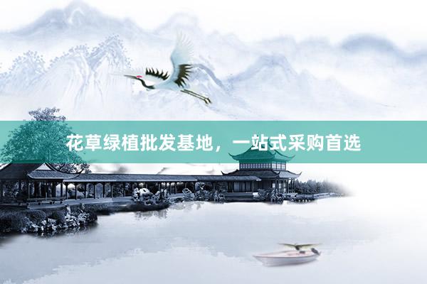 花草绿植批发基地，一站式采购首选